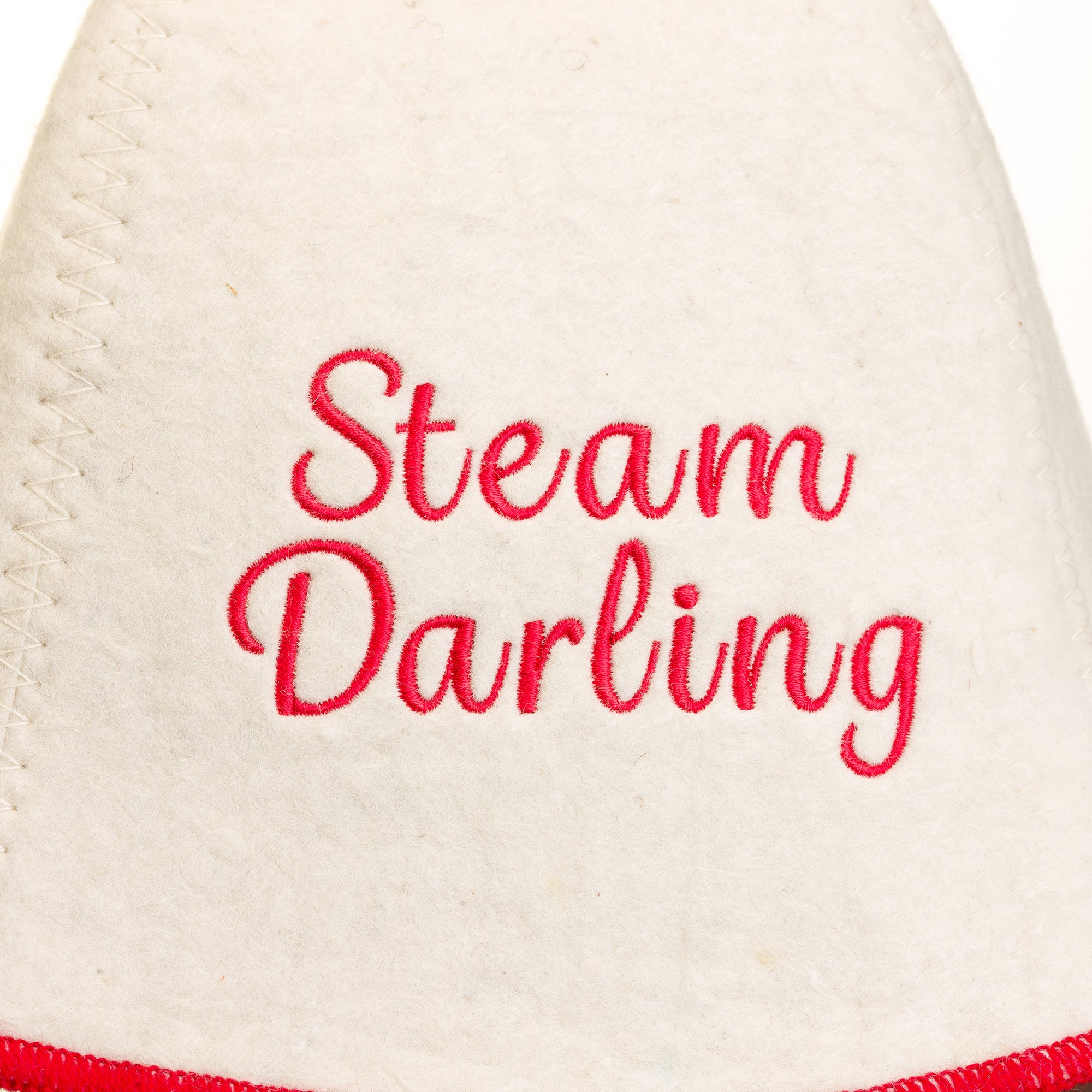 Text 'Steam Darling' embroidered on a white felt fabric background with red thread.